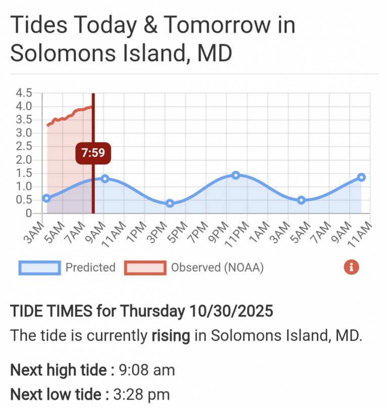 Friends in High Places